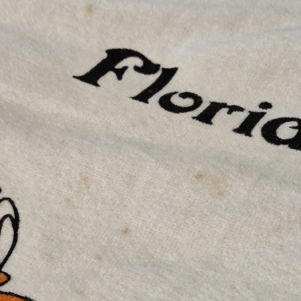(5/$25) Vintage Disney Florida Mickey Mouse Goofy Donald Duck Disneyworld Towel